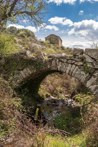 Small Genoise Bridge Stream Balagne Region Corsica Ancient Stone Farm — Stock Photo, Image