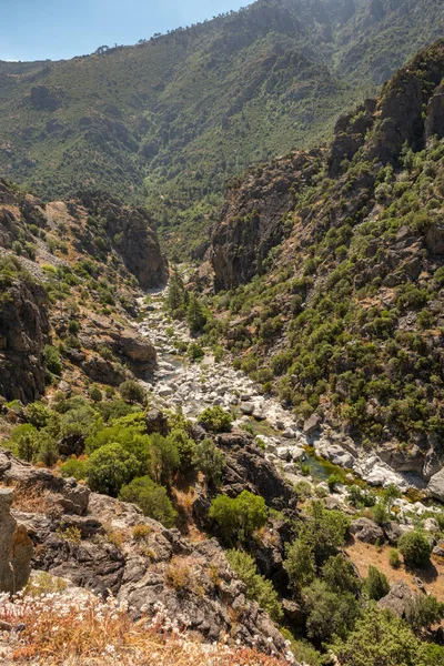 Rio Golo Corre Sobre Pedregulhos Através Vale Perto Castirla Centro — Fotografia de Stock