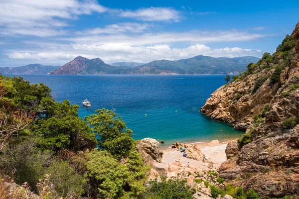 Mała Zaciszna Plaża Ficaghiola Turkusowe Morze Śródziemne Zachodnim Wybrzeżu Korsyki — Zdjęcie stockowe