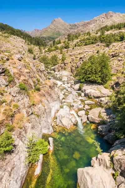 Der Fluss Golo Fließt Über Geröll Durch Ein Tal Bei — Stockfoto