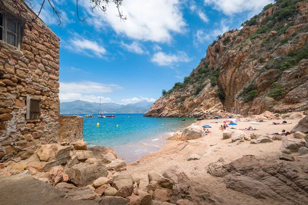 Plage Ficaghiola Corsica Frankrijk Juni 2021 Vakantiegangers Genieten Van Zon — Stockfoto