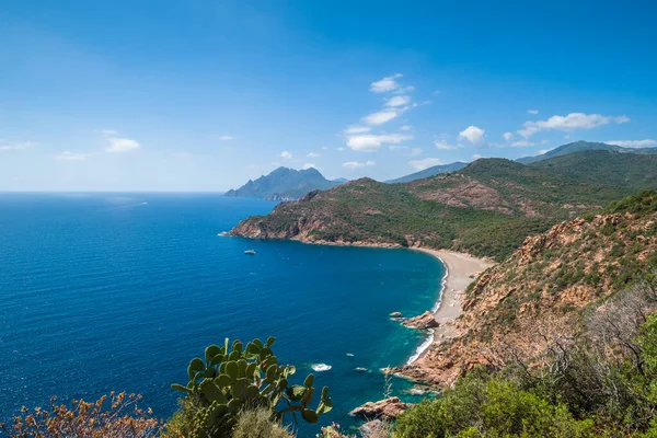 Spiaggia Mare Mediterraneo Turchese Bussaglia Sulla Costa Occidentale Della Corsica — Foto Stock