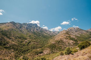 View of the Tartagine valley and pine covered mountains in Corsica