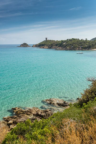 Fautea sulla costa orientale della Corsica — Foto Stock