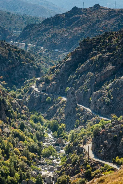 D84 road och golo floden slingrar sig genom centrala Korsika — Stockfoto