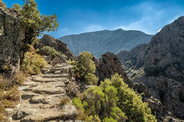 Scala di santa regina trail központi Korzikán — Stock Fotó