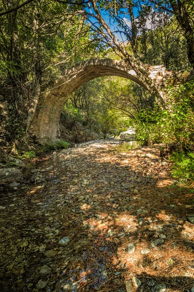 Ponte Sottano bridge near Corscia in Corsica — Stock Photo, Image