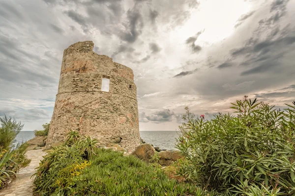 Genueńskiej wieży w Erbalunga na Cap Corse na Korsyce — Zdjęcie stockowe