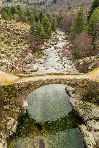 Ponte Altu over the Golo river in central Corsica — Stock Photo, Image