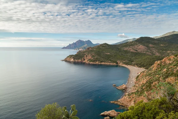 Bussaglia beach, west coast Corsica — Stok fotoğraf