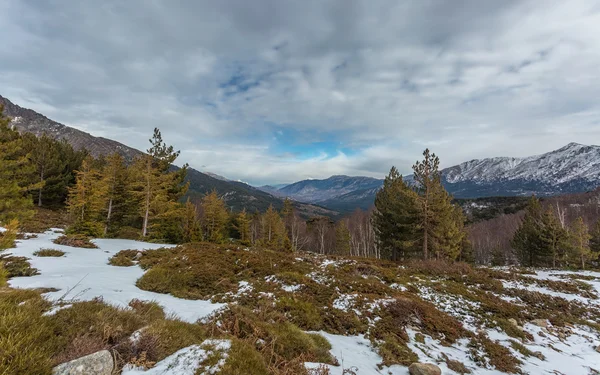 Vista a est del Col de Vergio in Corsica — Foto Stock