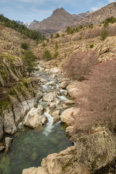 Река Голо и гора Албану на Корсике — стоковое фото