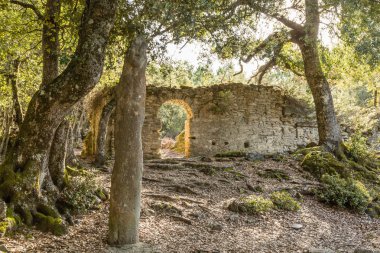 Taş taş anıt de Petra Frigiata Corsica'deki / daki