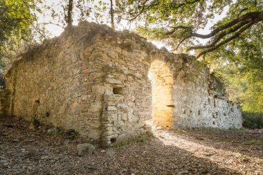 Corsoli Corsica'deki / daki yakınındaki antik manastır kalıntıları