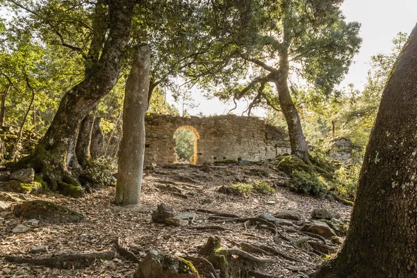 Pierre Menhir de Petra Frigiata en Corse — Photo