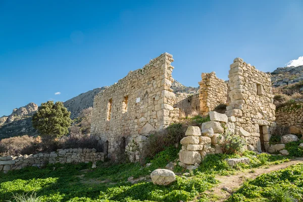 Aldeia abandonada de Occi perto de Lumio na Córsega — Fotografia de Stock