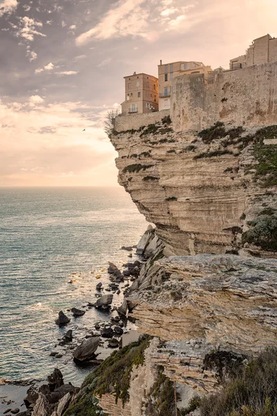 Citadel and houses of Bonifacio above towering white cliffs — Stock Photo, Image