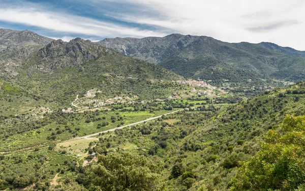 N197 road heads towards the coast in Corsica — Stock Photo, Image