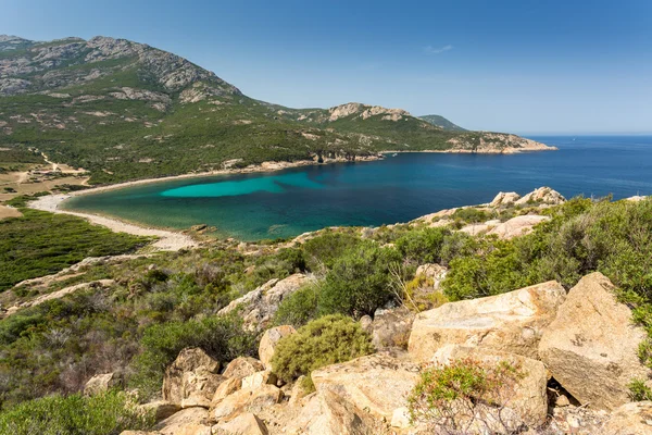 Costa della Corsica tra Galeria e Calvi — Foto Stock