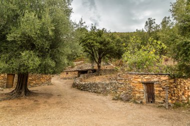 Village and stone buildings at Tuvarelli in Corsica clipart