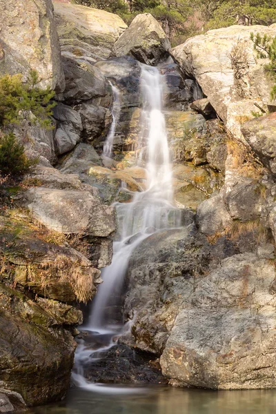 Art arda sıralı des Anglais şelale Vizzavona Corsica'deki / daki yakınındaki — Stok fotoğraf