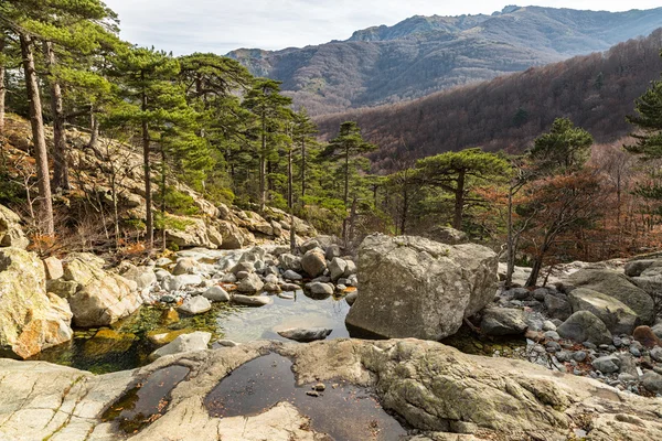 Träd och berg från Cascade des Anglais på Korsika — Stockfoto