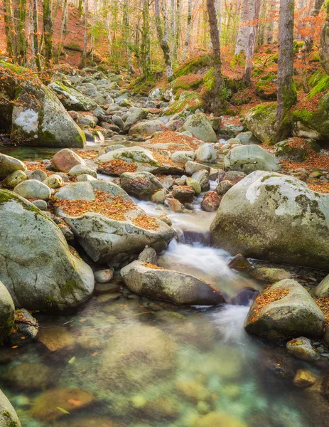 Fluxo de floresta correndo sobre rochas cobertas com folhas de outono — Fotografia de Stock