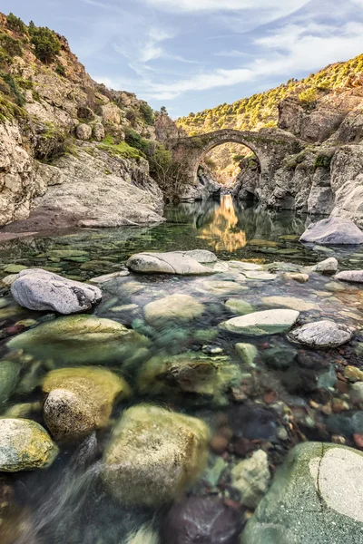 Fluss überquert Genueser Brücke bei Asco in Korsika — Stockfoto