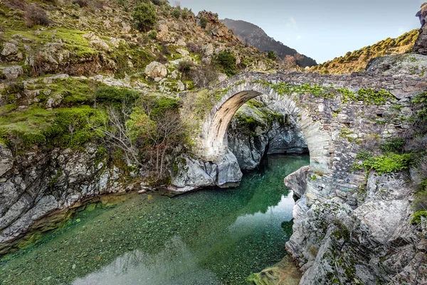 Rio que passa pela ponte genovesa em Asco, na Córsega — Fotografia de Stock