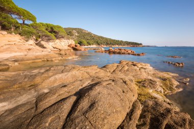 Kayalar ve kıyı şeridi Corsica'deki / daki Palombaggia plajda
