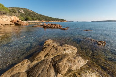 Kayalar ve kıyı şeridi Corsica'deki / daki Palombaggia plajda