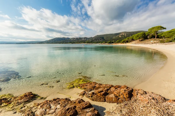 Mare cristallino sulla spiaggia di Palombaggia in Corsica — Foto Stock