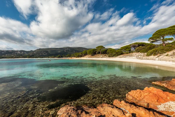 Rochas e litoral na praia de Palombaggia, na Córsega — Fotografia de Stock