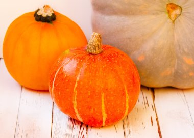 Beyaz arkaplanda balkabakları