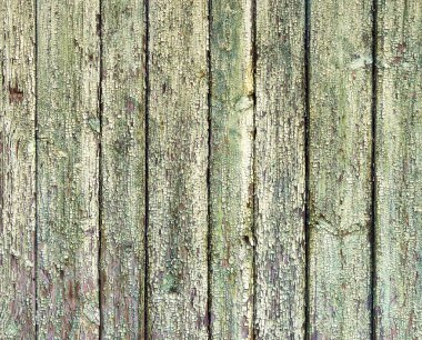 arka plan, doku, ahşap panel