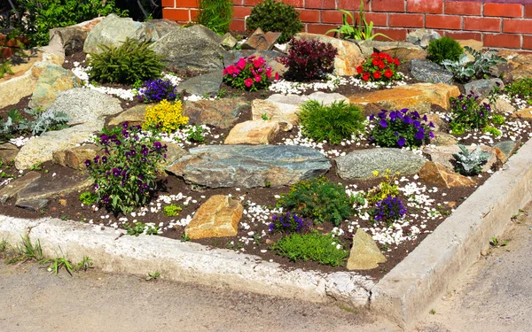 Cama flores y piedras — Foto de Stock