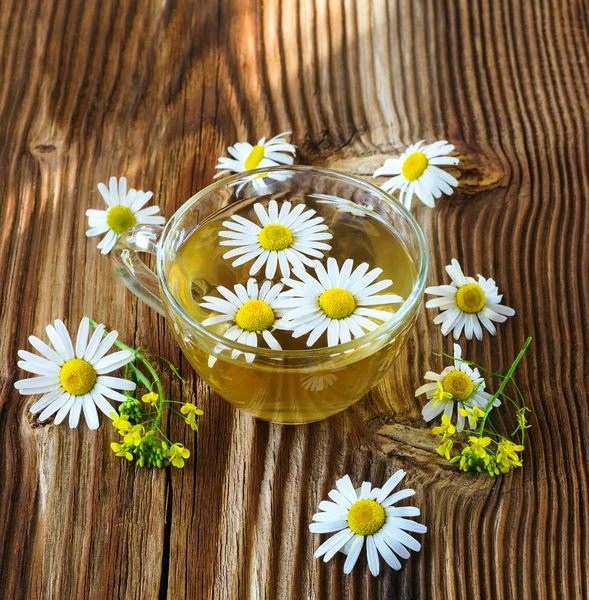 Té con manzanilla Fotos de stock