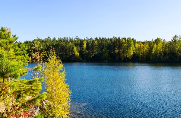 Lago y madera de otoño Imagen de stock