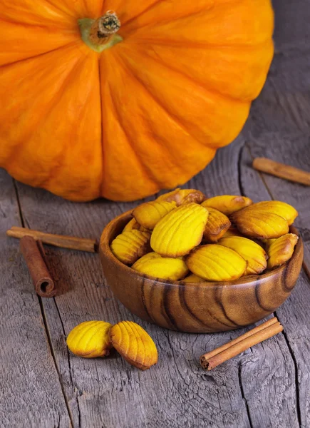 Cookies with cinnamon and pumpkin — Stock Photo, Image