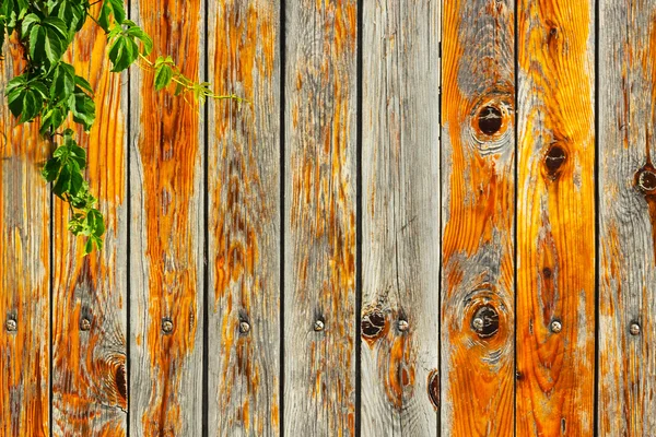 Old wooden  wall — Stock Photo, Image