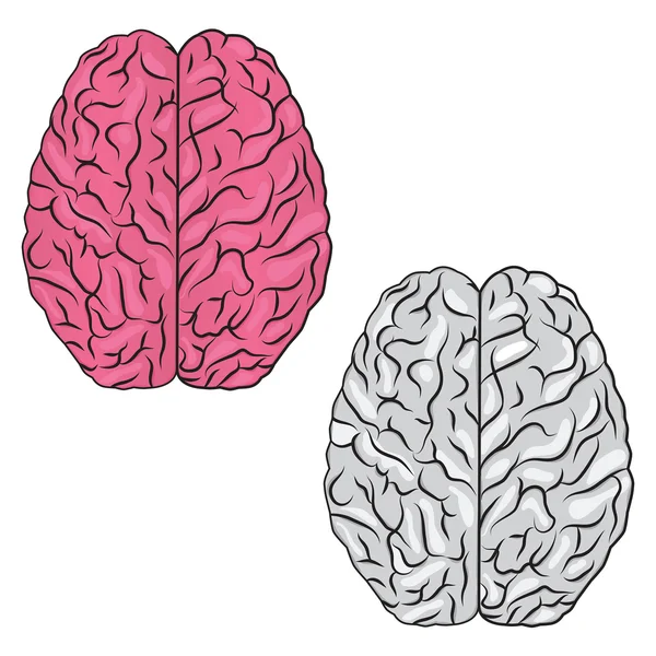 Emberi agy orvosi, genetikai és egészségügyi ellátás vagy logó vektoros gondolatát — Stock Vector