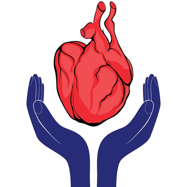 Hands and heart. Icon of kindness and charity vector valentine day — Stock Vector