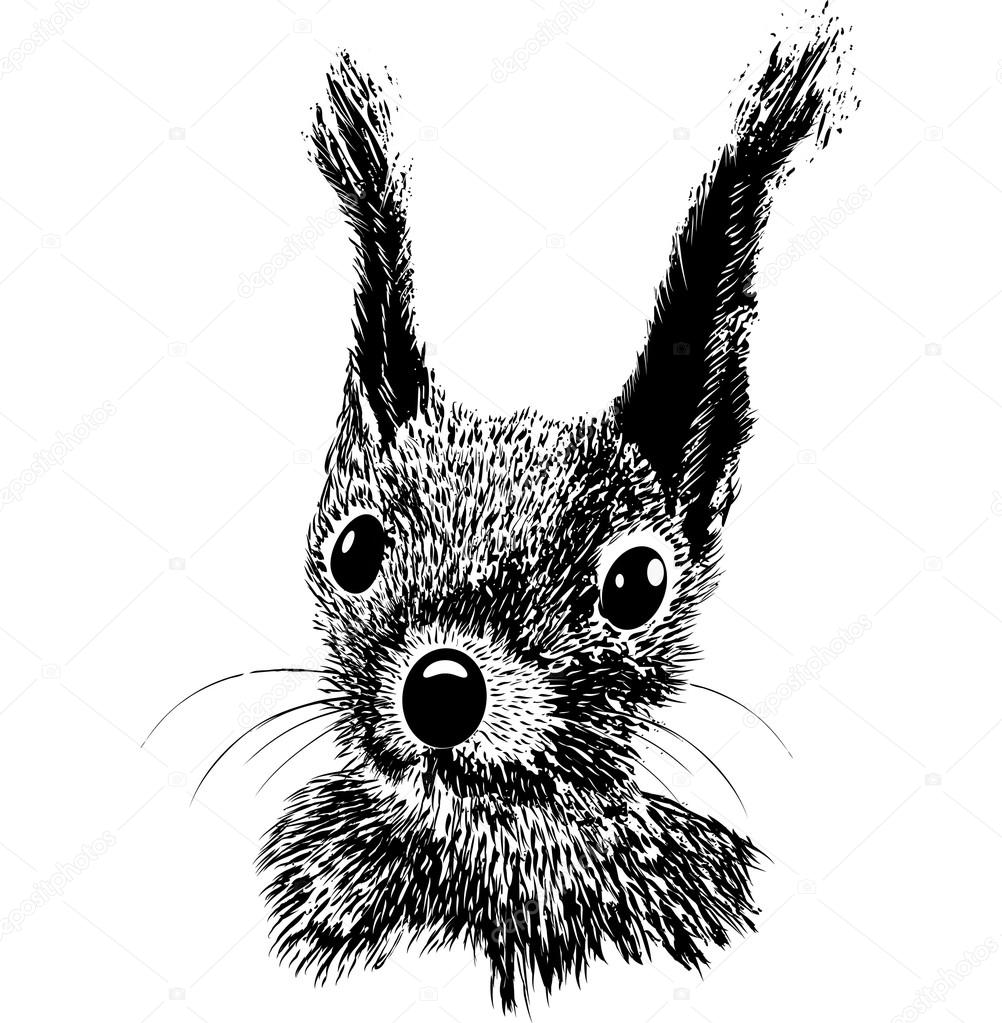 Squirrel head vector animal illustration for t-shirt