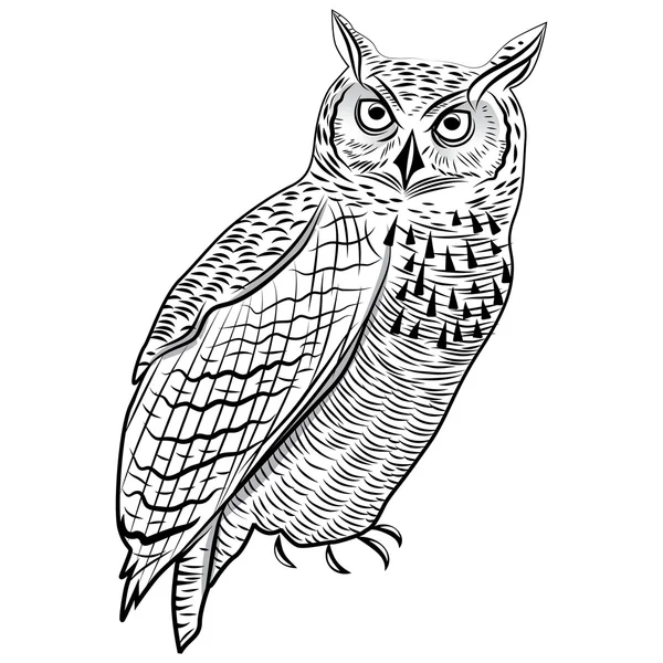 Baykuş birdn baş sembolü maskot veya amblem tasarımı, logo vektör çizim için t-shirt dövme tasarım için.