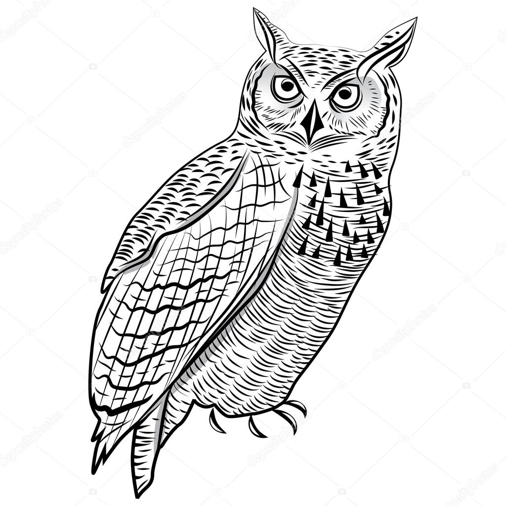 Owl birdn head symbol for mascot or emblem design, logo vector illustration for t-shirt tattoo design.