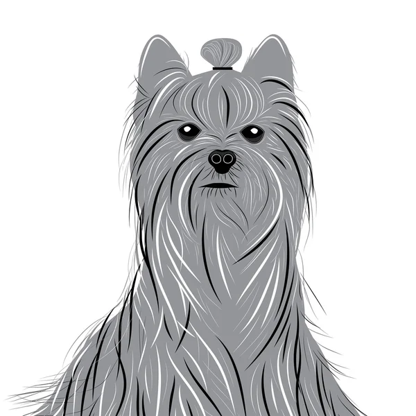 Perro yorkshire terrier vector retrato de un perro doméstico. Linda cabeza de animal . — Vector de stock