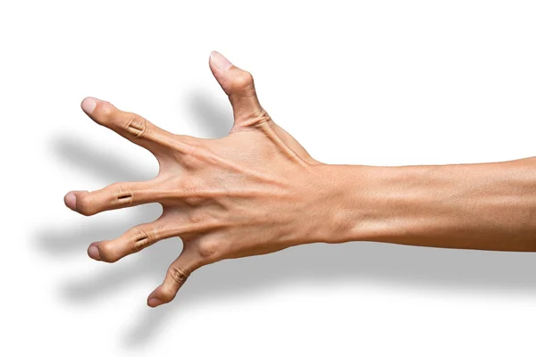怖い爪の手 — ストック写真