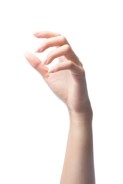 Bela mão feminina — Fotografia de Stock