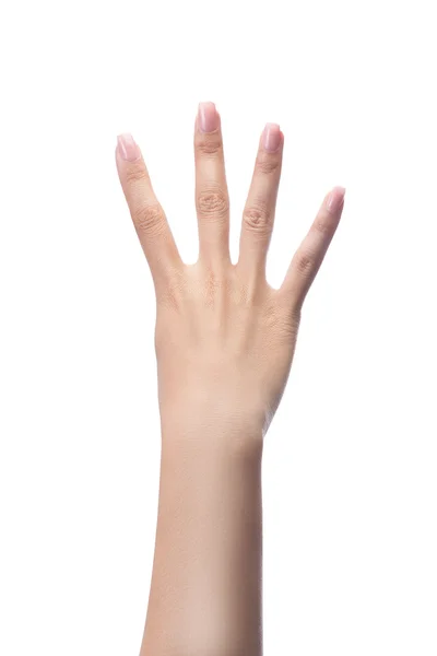 Counting woman hands four, number 4, isolated on white. — Stock Image Counting woman hands four, number 4, isolated on white. Royalty Free Stock Photos