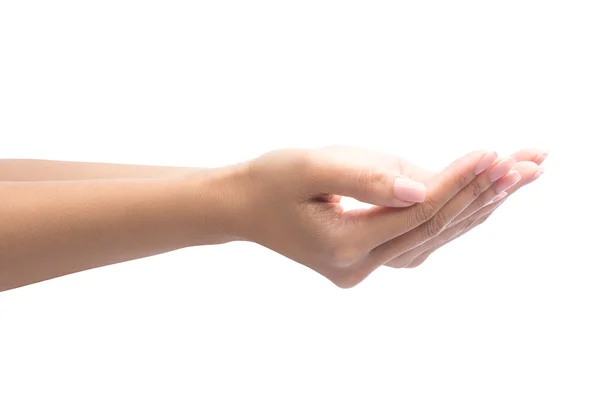 Woman hands with palms up. — Stock Photo, Image